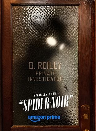 Pôster de Spider-Noir