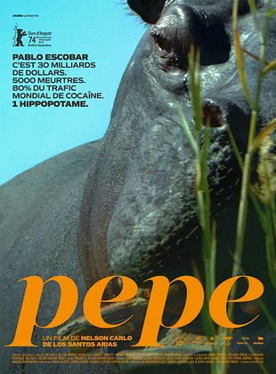 Pôster de Pepe