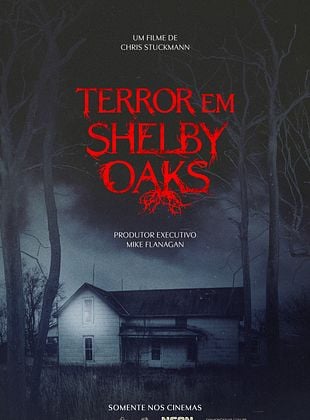 Pôster de  Terror em Shelby Oaks