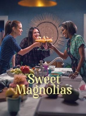 Pôster de Doces Magnólias - Temporada 5