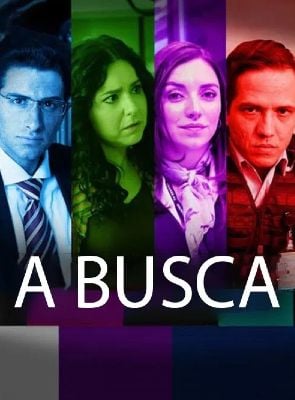Pôster de A Busca