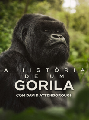 A História de um Gorila: Com David Attenborough