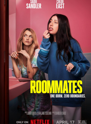 Pôster de A Colega Perfeita