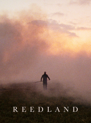 Pôster de Reedland 