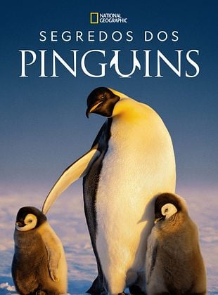 Pôster de Segredos dos Pinguins