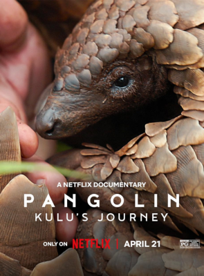 Pôster de  Pangolim: A Viagem de Kulu