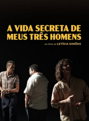 Pôster de A Vida Secreta dos Meus Três Homens
