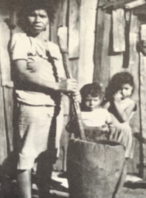 Pôster de Luta da Erva