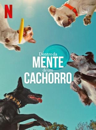  Dentro da Mente de um Cachorro