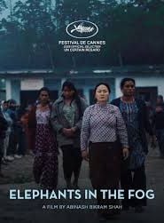 Pôster de Elephants in the Fog 