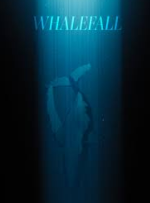 Pôster de Whalefall