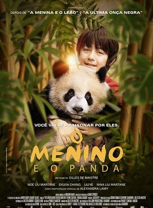 Pôster de  O Menino e o Panda