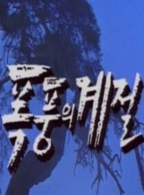 Pôster de Storming Season