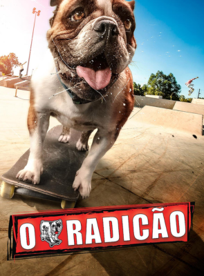 Pôster de O Radicão        