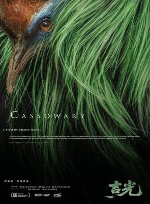 Pôster de Cassowary