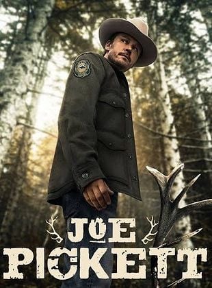 Pôster de Joe Pickett