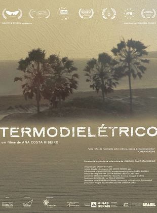  Termodielétrico