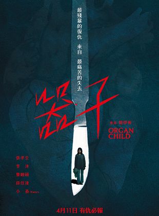 Pôster de A Criança Roubada