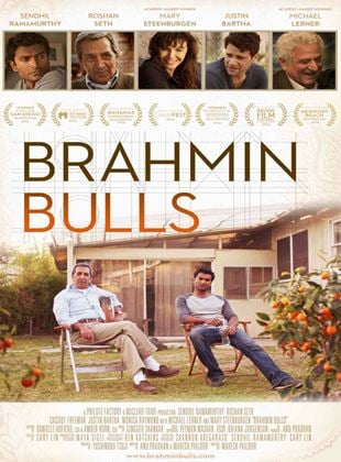  Brahmin Bulls