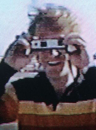 Pôster de Beaver Trilogy Part IV