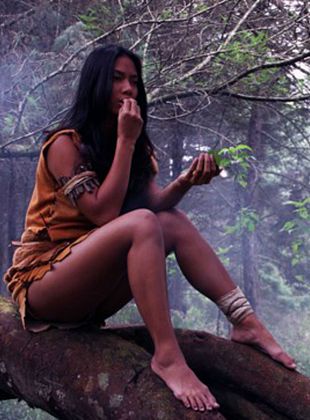 Pôster de  Menuju Rembulan