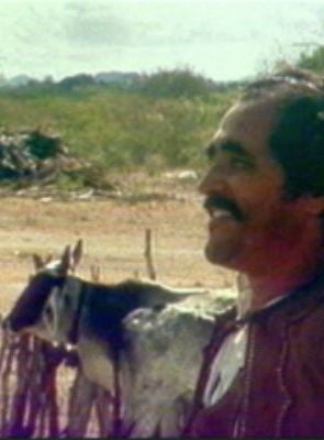 O Boi Misterioso e o Vaqueiro Menino - Filme 1981 - AdoroCinema