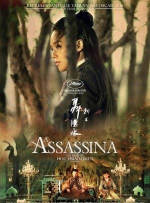  A Assassina