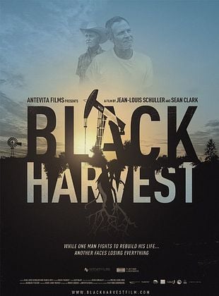 Pôster de  Colheita Negra