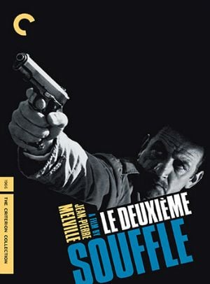 Pôster de Os Profissionais do Crime