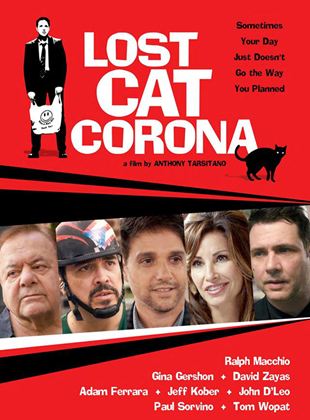  Lost Cat Corona