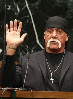 Nobody Speak: Hulk Hogan, Gawker and Trials of a Free Press