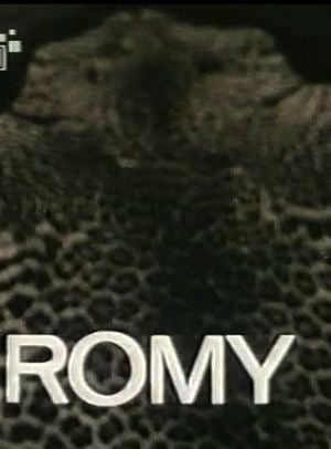 Romy - Retrato de Um Rosto