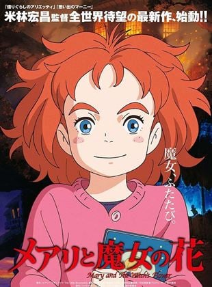  Mary and the Witch’s Flower