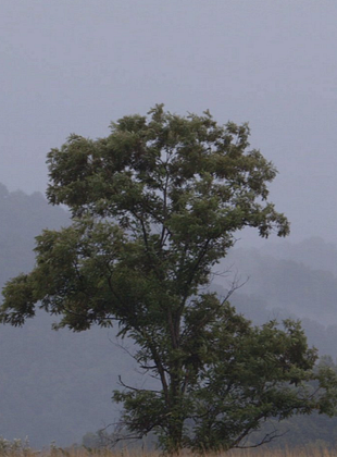  A Prisão em 12 Paisagens