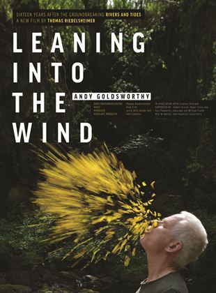  Leaning Into the Wind: Andy Goldsworthy