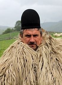 Pôster de  Minha Transilvânia - Vencedores e Perdedores