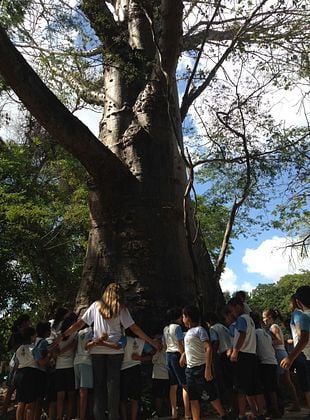 Sementes da Educação