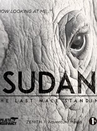  Sudan: The Last Male Standing