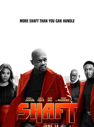  Shaft