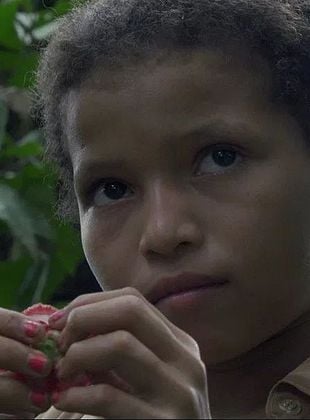 Pôster de Understory