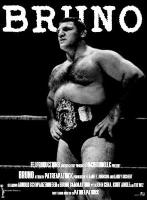 Pôster de Bruno Sammartino