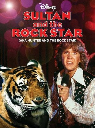 Pôster de O Sultão e o Astro do Rock