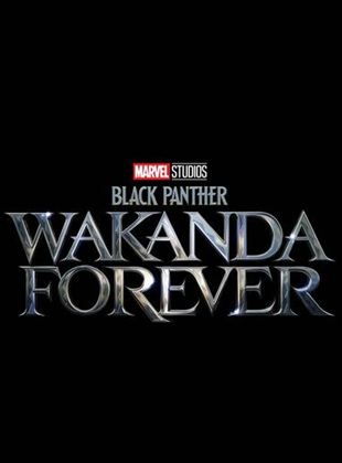  Pantera Negra: Wakanda Para Sempre