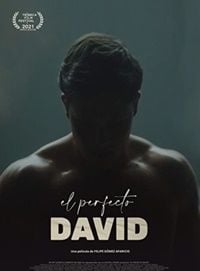 Pôster de  O Perfeito David