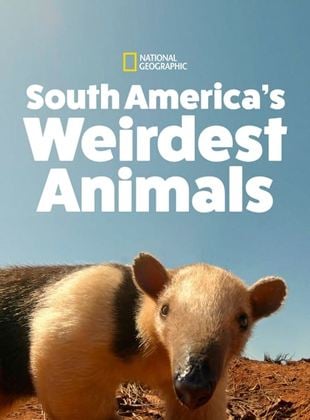 América do Sul: Animais Extraordinários