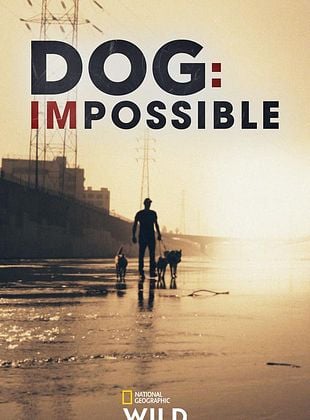 Pôster de Reabilitação Canina