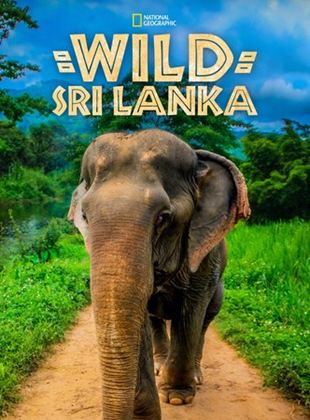 Sri Lanka Selvagem
