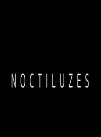  Noctiluzes