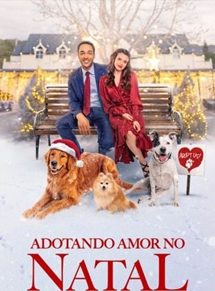 Adotando Amor no Natal