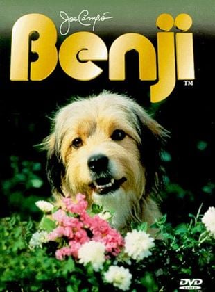  Benji